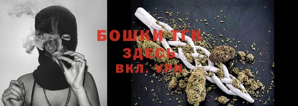 ГАЛЛЮЦИНОГЕННЫЕ ГРИБЫ Верхний Тагил