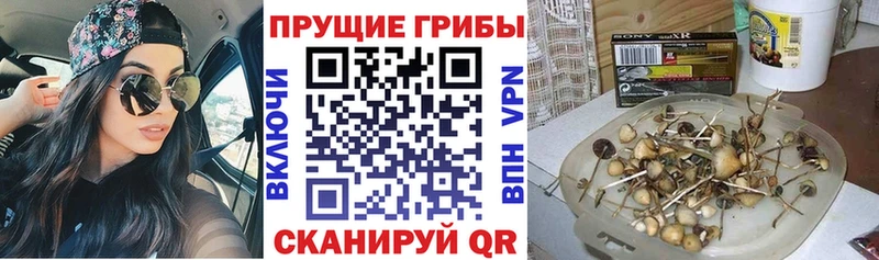 Псилоцибиновые грибы MAGIC MUSHROOMS  наркотики  Уссурийск 